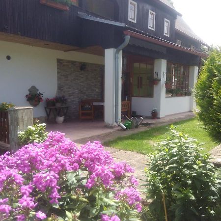 Ubytovani U Sviraku Srbská Kamenice Exterior foto